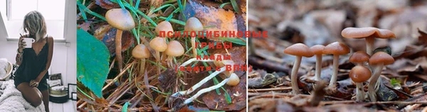 МДМА Нефтегорск