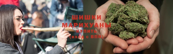 гидра Нефтекумск