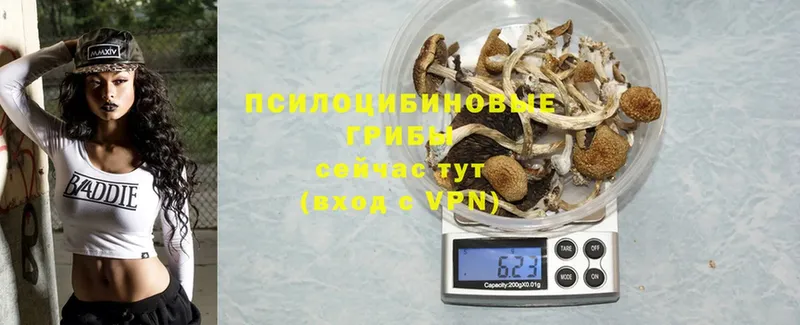 Псилоцибиновые грибы Cubensis  дарк нет клад  Полярные Зори 